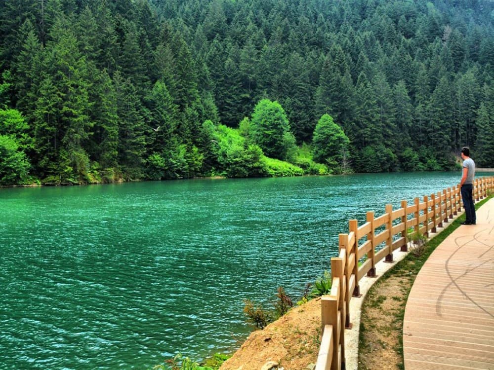 Discover the Charm of Uzungöl: A Journey into Nature and Tranquility | ®ExcursionMania - Image 7