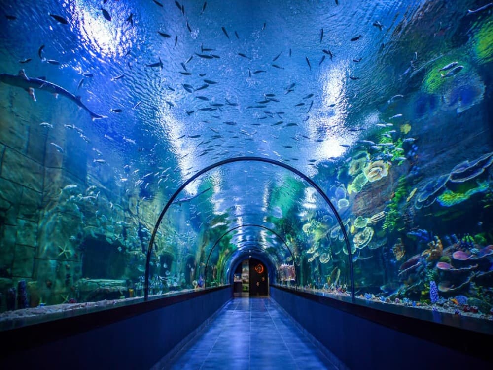 Trabzon: Ataturk Mansion  Hagia Sophia Mosque Private Tour | ®ExcursionMania - Image 7