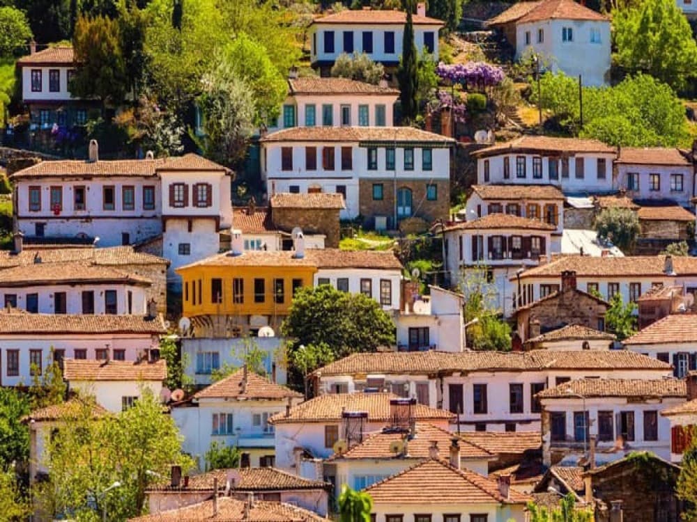 Ephesus and Sirince: A Full Day of History Scenery and Wine | ®ExcursionMania - Image 2