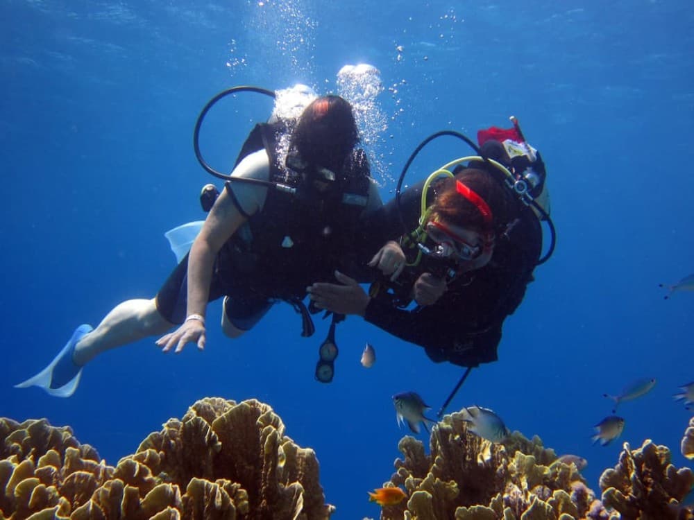 Cesme: Scuba Diving Experience w/Lunch | ®ExcursionMania - Image 6