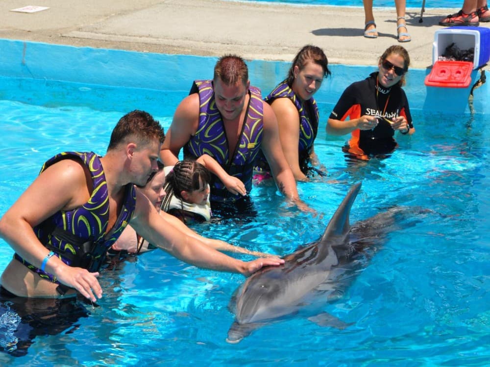 Alanya Dolphin Show: A Delight for All Ages | ®ExcursionMania - Image 2