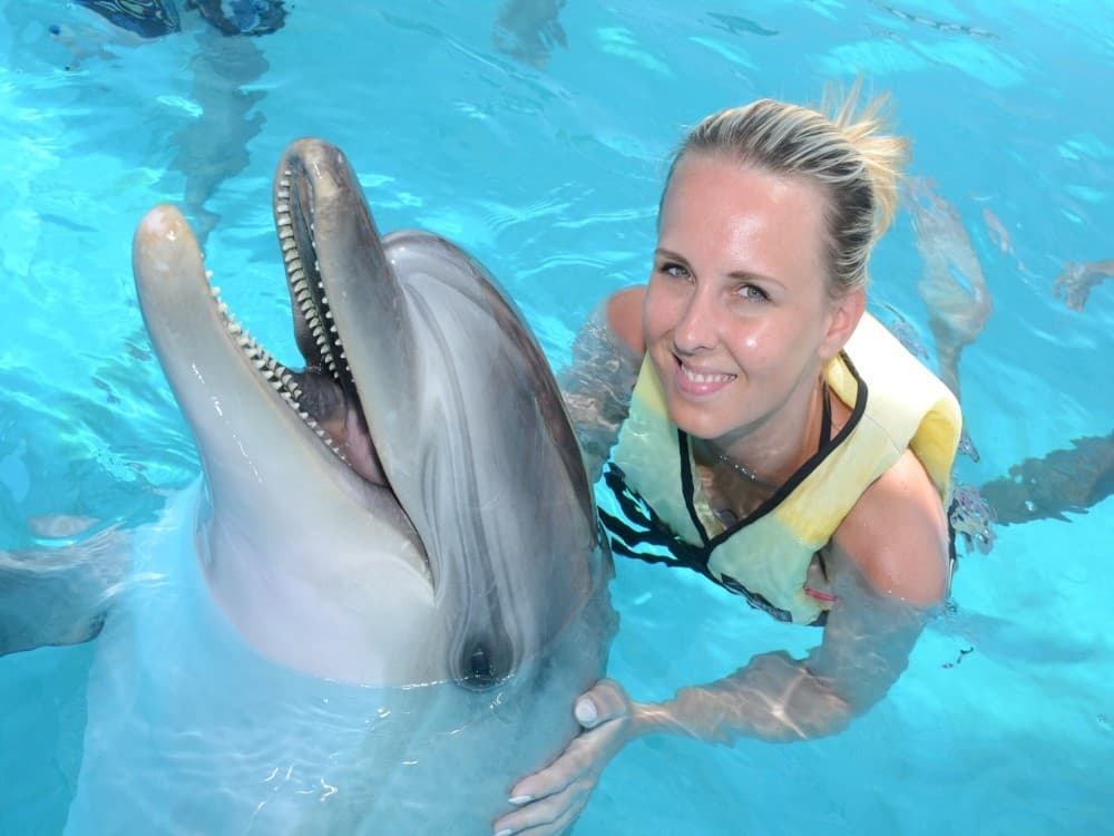 Alanya Swim with Dolphins Tour: Make a Splash | ®ExcursionMania - Image 4