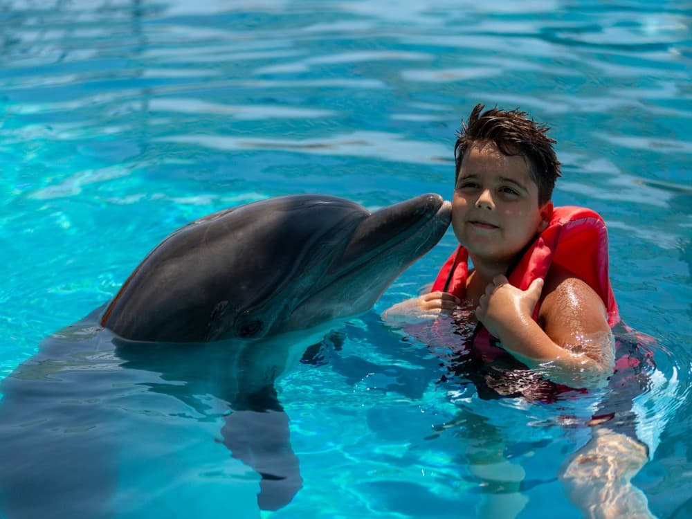 Alanya Swim with Dolphins Tour: Make a Splash | ®ExcursionMania - Image 6