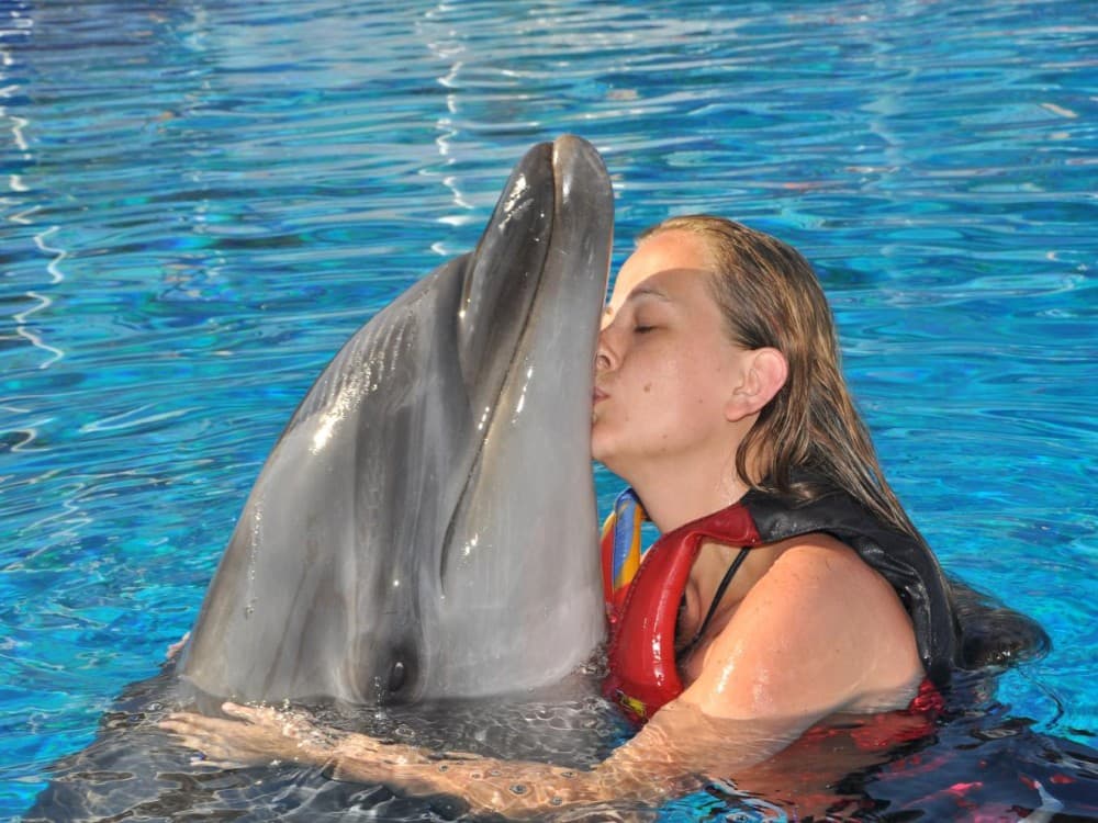 Alanya Swim with Dolphins Tour: Make a Splash | ®ExcursionMania - Image 7