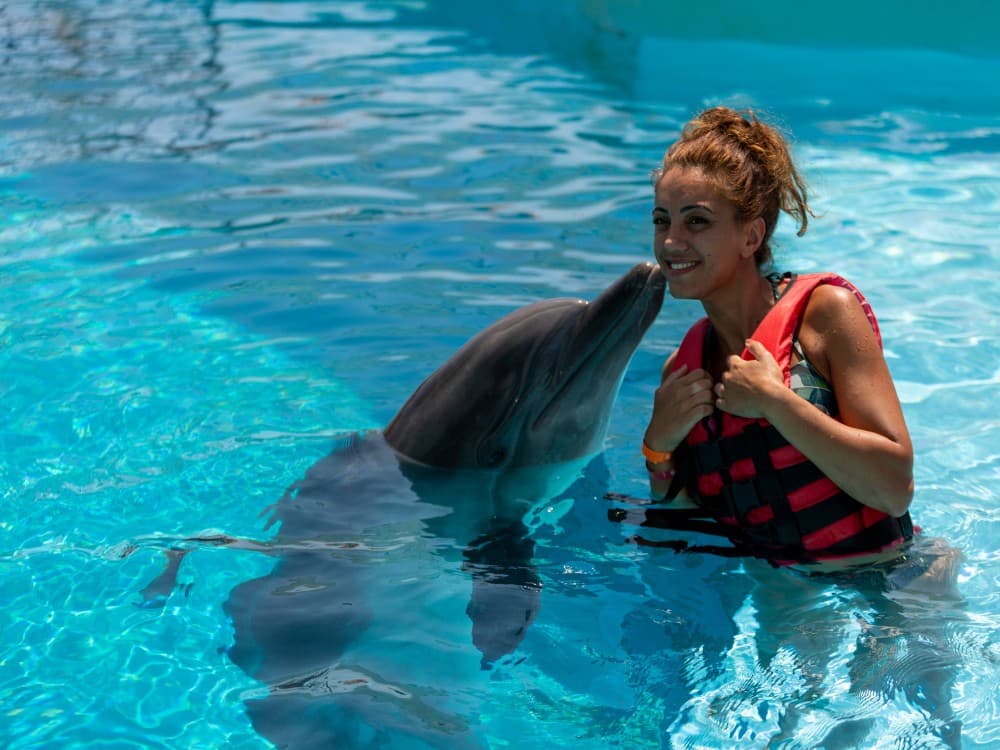 Alanya Swim with Dolphins Tour: Make a Splash | ®ExcursionMania - Image 8