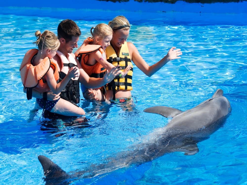 Alanya Swim with Dolphins Tour: Make a Splash | ®ExcursionMania - Image 9