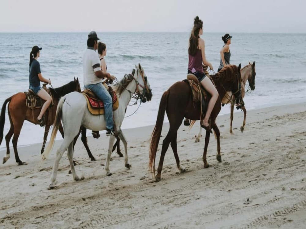 Side Horse Riding Beach and Forest Tour | ®ExcursionMania - Image 3