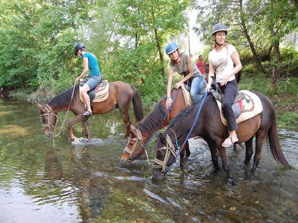 Side Horse Riding Beach and Forest Tour | ®ExcursionMania - Image 4