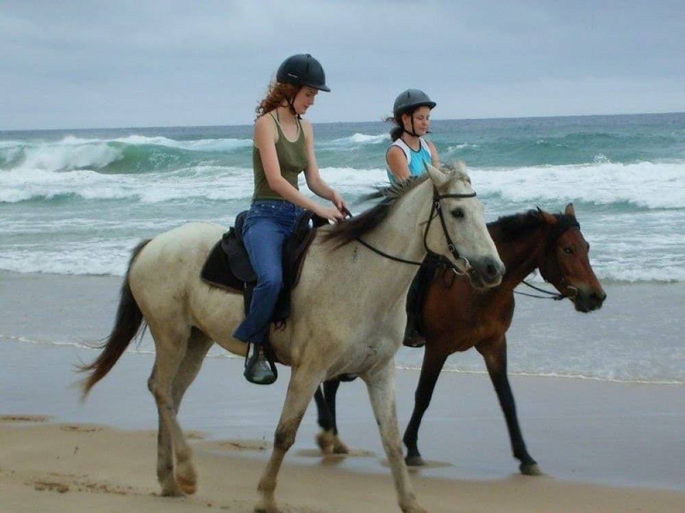 Side Horse Riding Beach and Forest Tour | ®ExcursionMania - Image 7