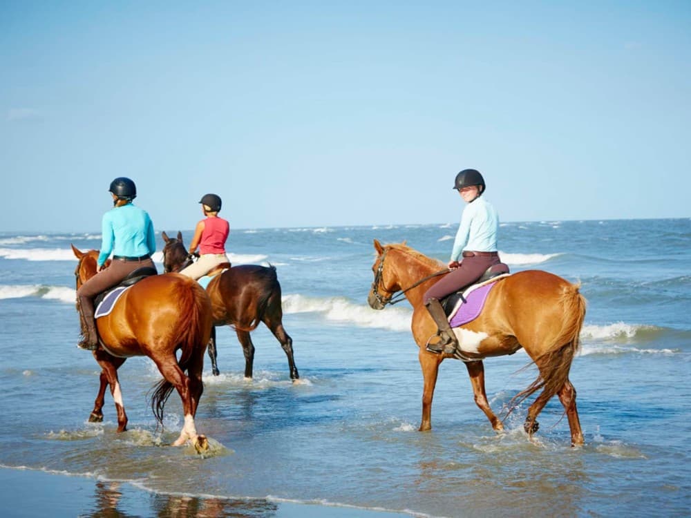 Side Horse Riding Beach and Forest Tour | ®ExcursionMania - Image 9