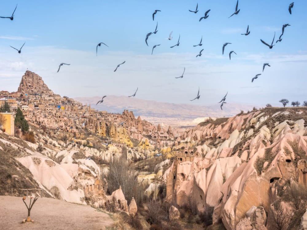 Red & Green Combined Tour: No Hidden Costs Lunch & Entry Tickets | ®ExcursionMania - Image 10