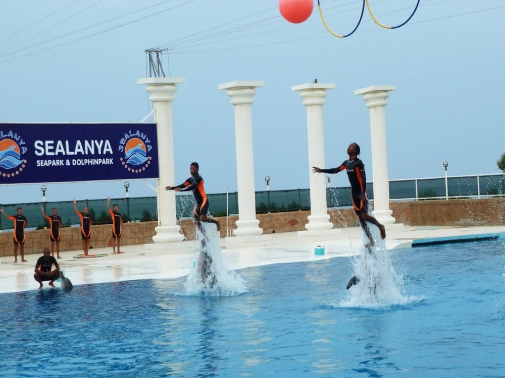 Alanya: Dolphin Show & Swimming with Dolphins Tour | ®ExcursionMania - Image 3