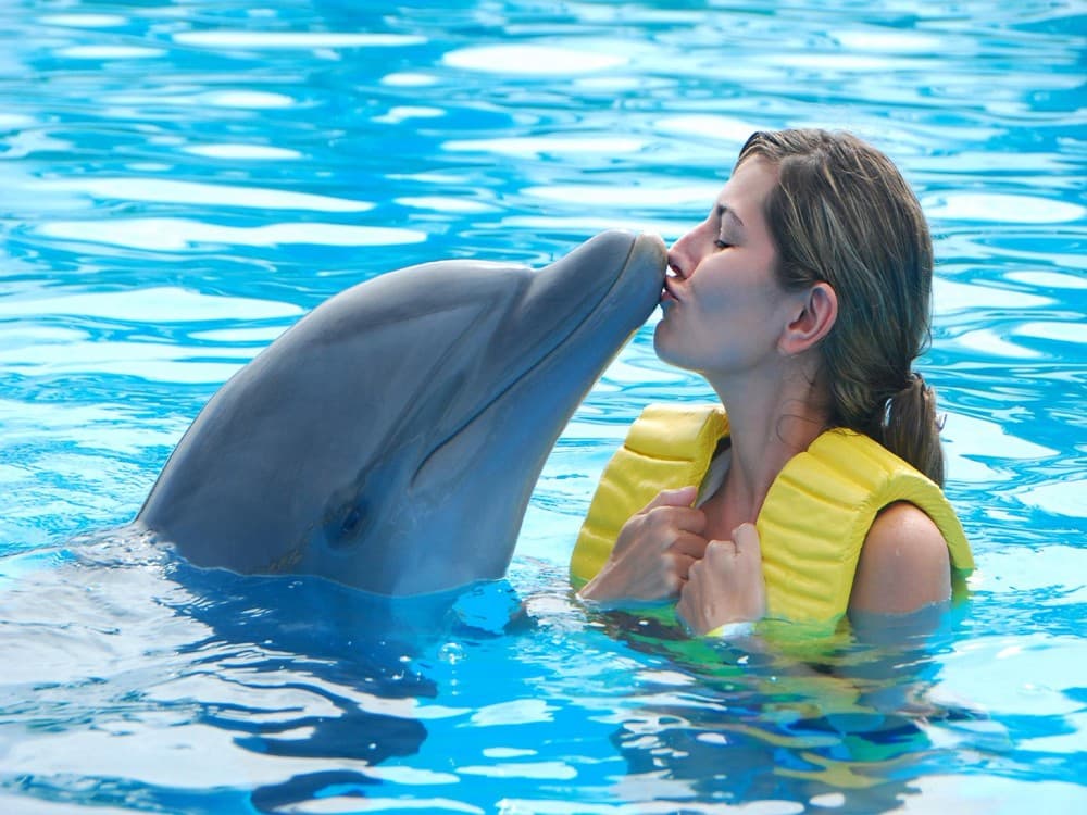 Alanya: Dolphin Show & Swimming with Dolphins Tour | ®ExcursionMania - Image 4