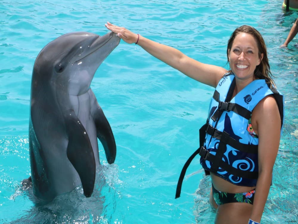 Alanya: Dolphin Show & Swimming with Dolphins Tour | ®ExcursionMania - Image 5