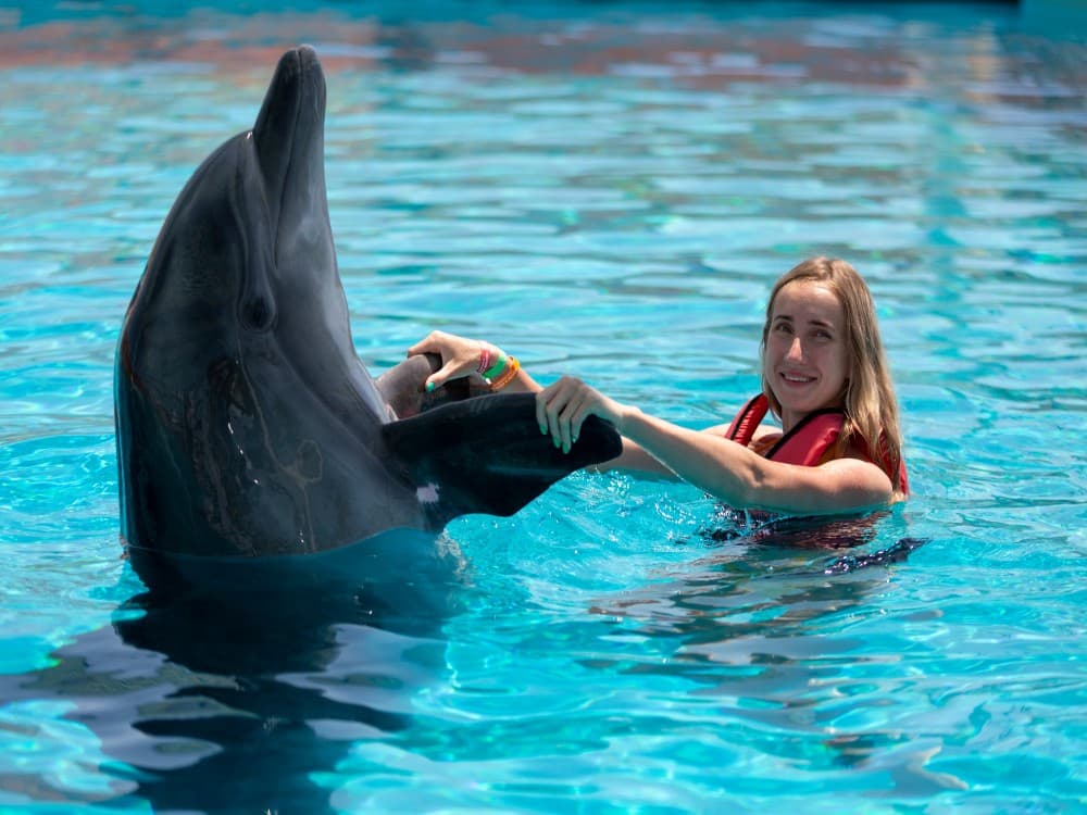 Side: Swim with Dolphin w/ Hotel Transfer | ®ExcursionMania - Image 6
