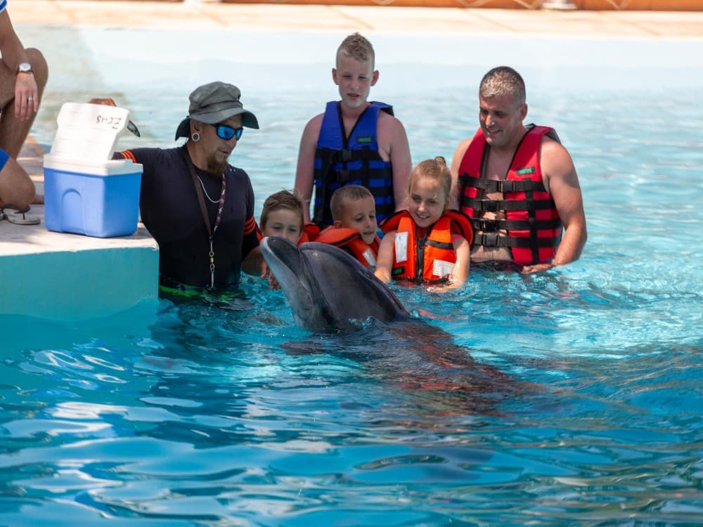 Side: Swim with Dolphin w/ Hotel Transfer | ®ExcursionMania - Image 8