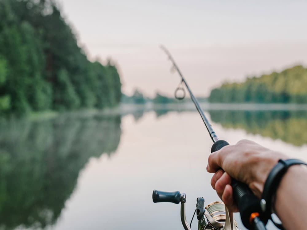 Belek: Fishing Tour with Hotel Transfer | ®ExcursionMania - Image 6