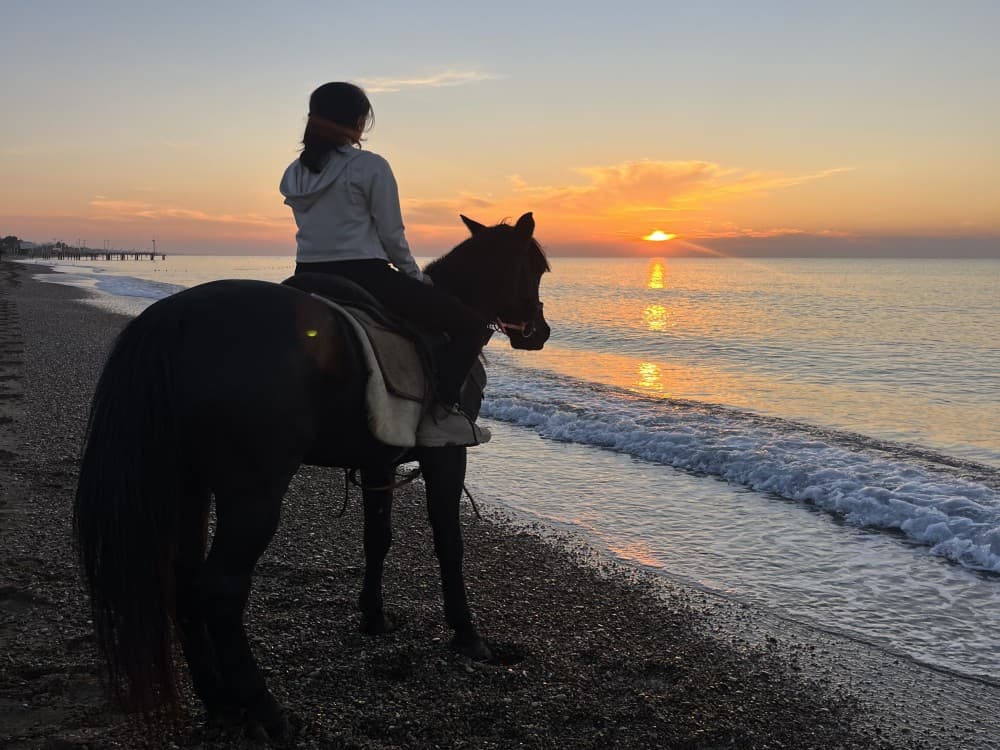 From Belek: Lara Beach  Forrest Horse Riding Safari | ®ExcursionMania - Image 1