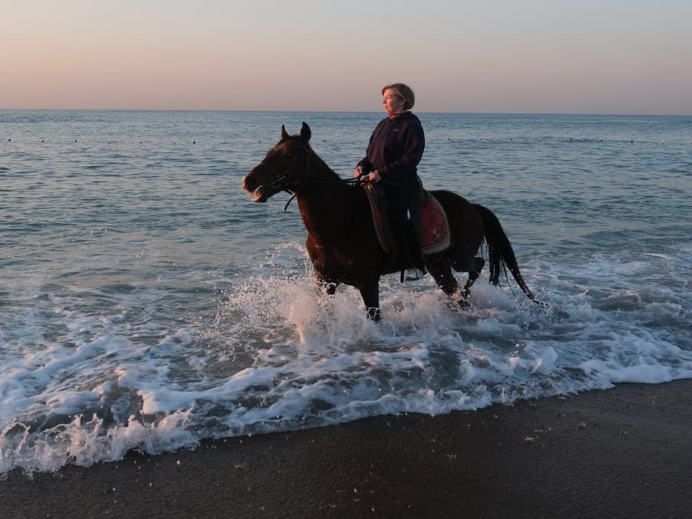 From Belek: Lara Beach  Forrest Horse Riding Safari | ®ExcursionMania - Image 3
