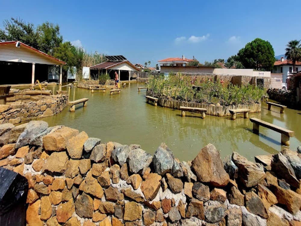 Marmaris: Private Turtle Beach Tour With Lunch and Entrance Fees | ®ExcursionMania - Image 7