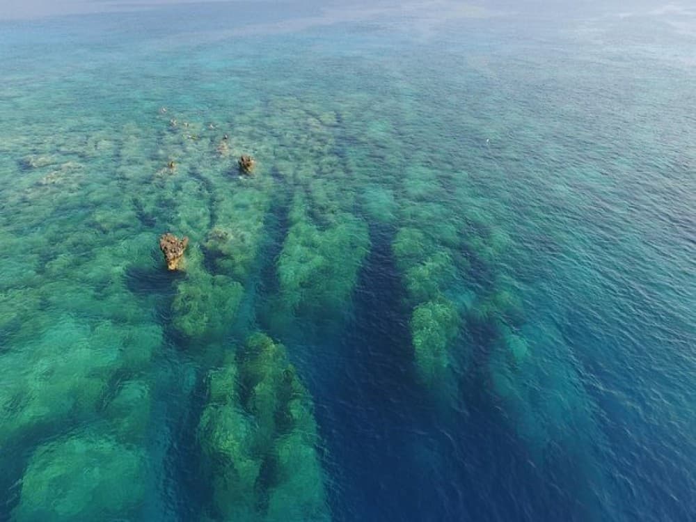 Scuba Diving Adventure in the Crystal-Clear Waters of Kaş | ®ExcursionMania - Image 8