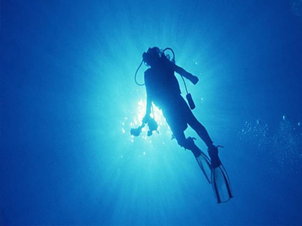 Scuba Dive in Kalkan: Discover the Best of the Aegean Sea | ®ExcursionMania - Image 9