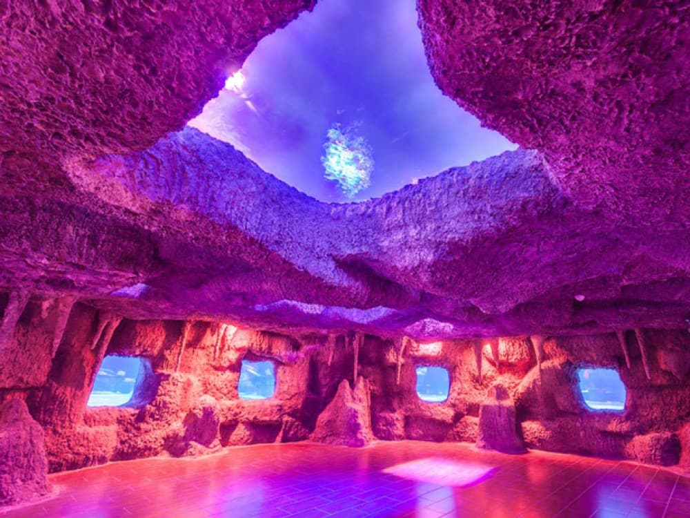 From City of Side: Antalya Aquarium Tour | ®ExcursionMania - Image 10