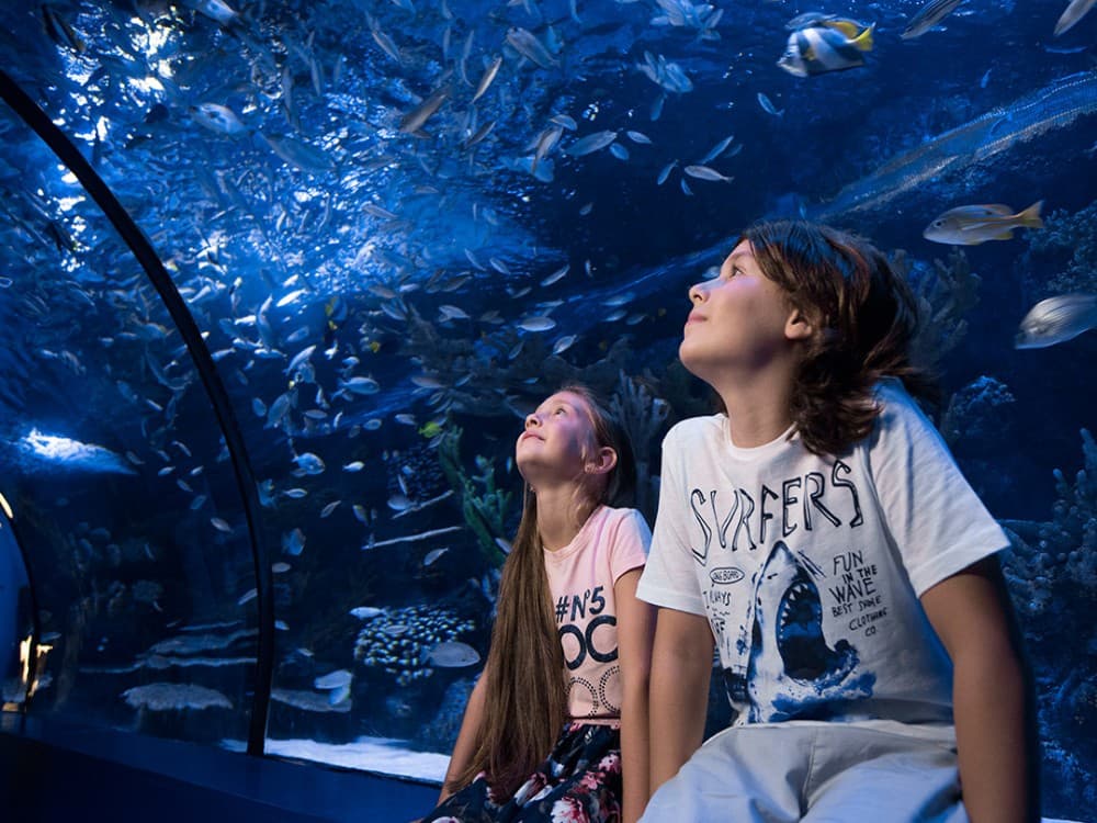 From City of Side: Antalya Aquarium Tour | ®ExcursionMania - Image 9