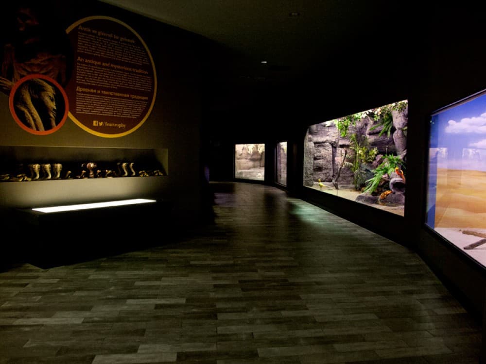 From City of Side: Antalya Aquarium Tour | ®ExcursionMania - Image 5