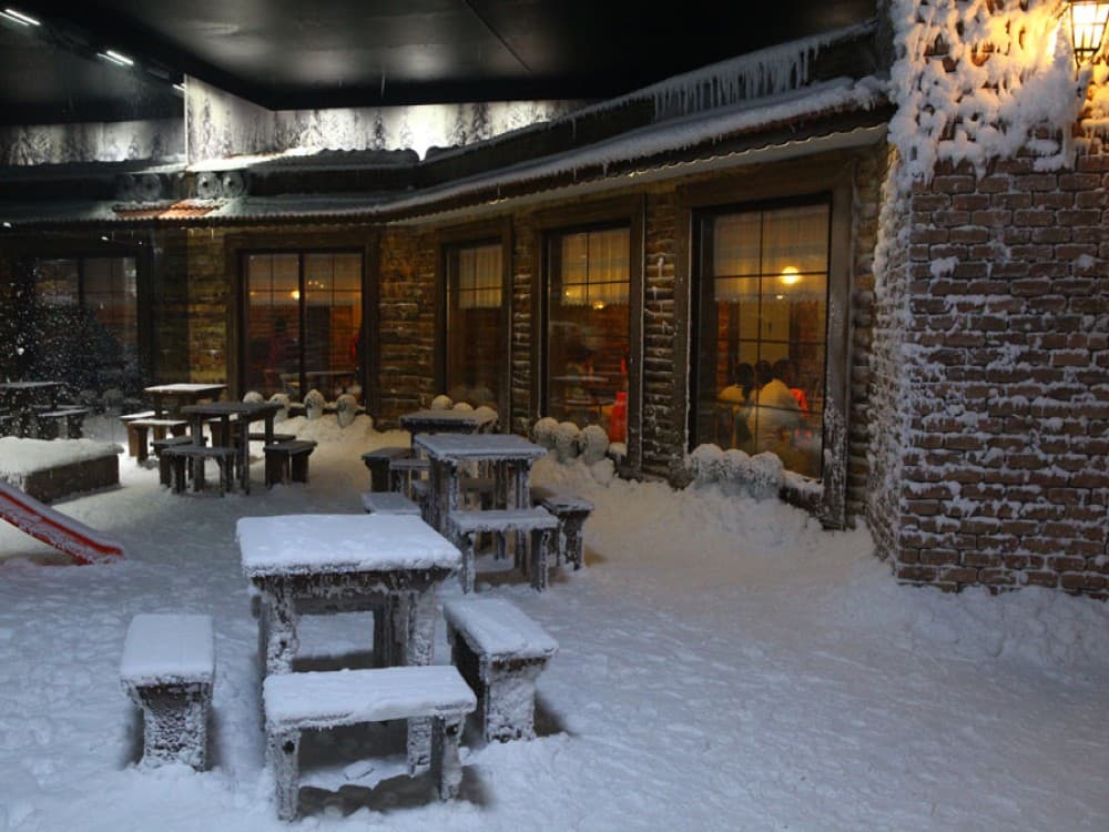 From City of Side: Antalya Aquarium Tour | ®ExcursionMania - Image 6