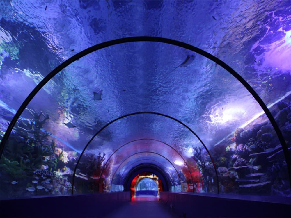 From City of Side: Antalya Aquarium Tour | ®ExcursionMania - Image 7