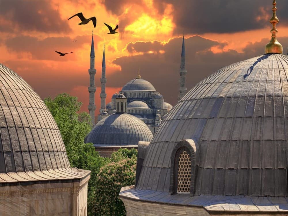 Istanbul: Best City Highlights Guided Tour with Turkish Lunch | ®ExcursionMania - Image 5