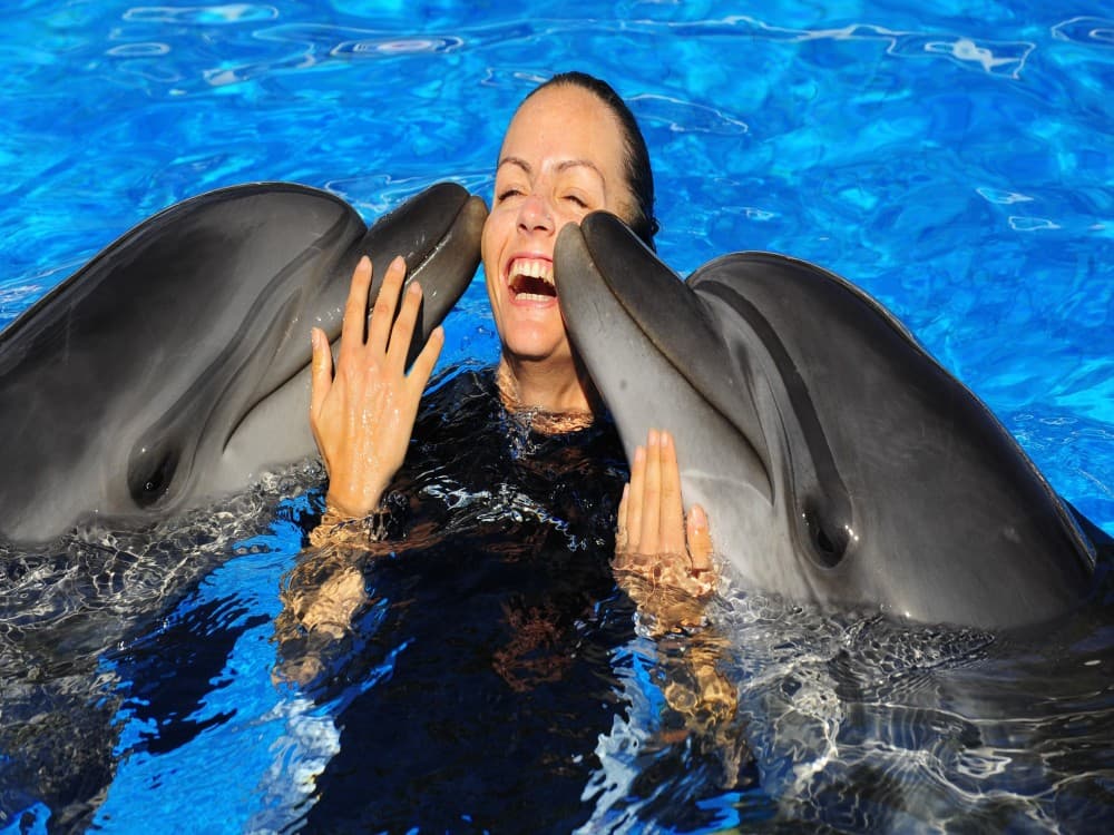 Belek Dolphin Show Tour With Transfers | ®ExcursionMania - Image 5