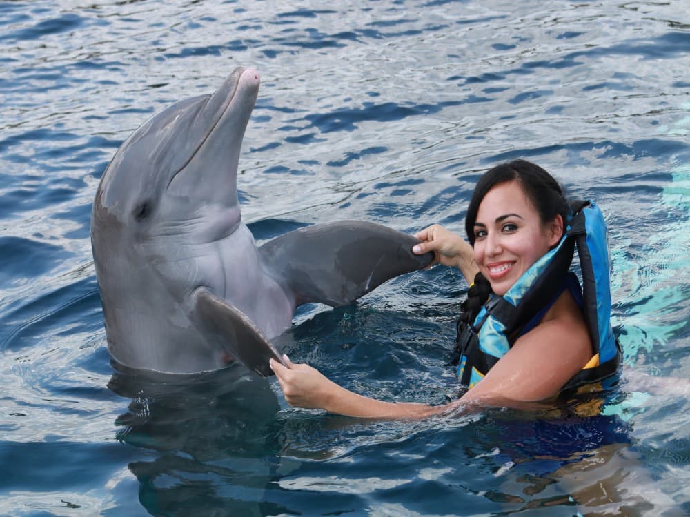 Belek Dolphin Show Tour With Transfers | ®ExcursionMania - Image 7