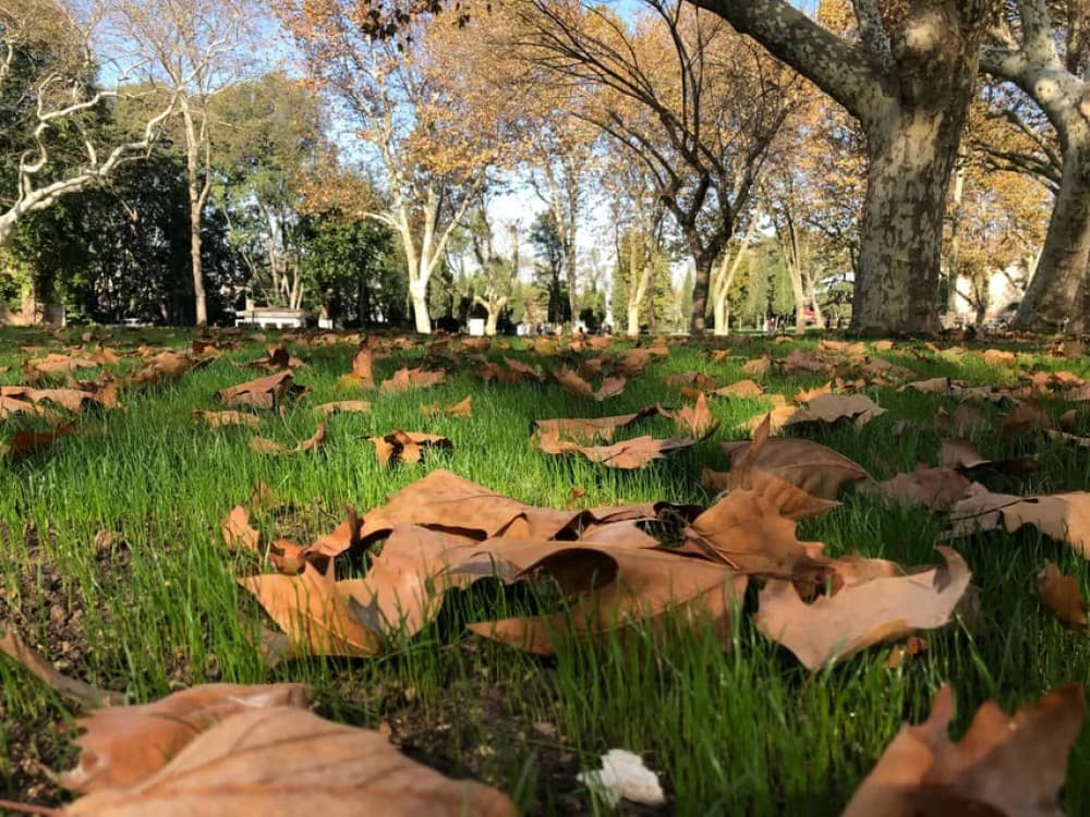 Istanbul: Timeless Treasures Walking Tour | ®ExcursionMania - Image 6