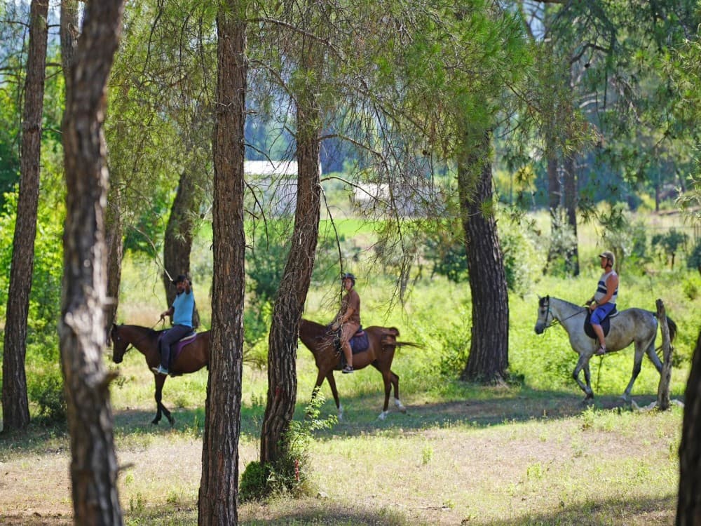 Kemer Horseback Adventure: Ride Through Natures Charm | ®ExcursionMania - Image 3