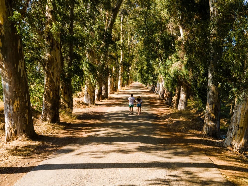 Marmaris Yuvarlakçay Private Tour: Tranquility Awaits | ®ExcursionMania - Image 7