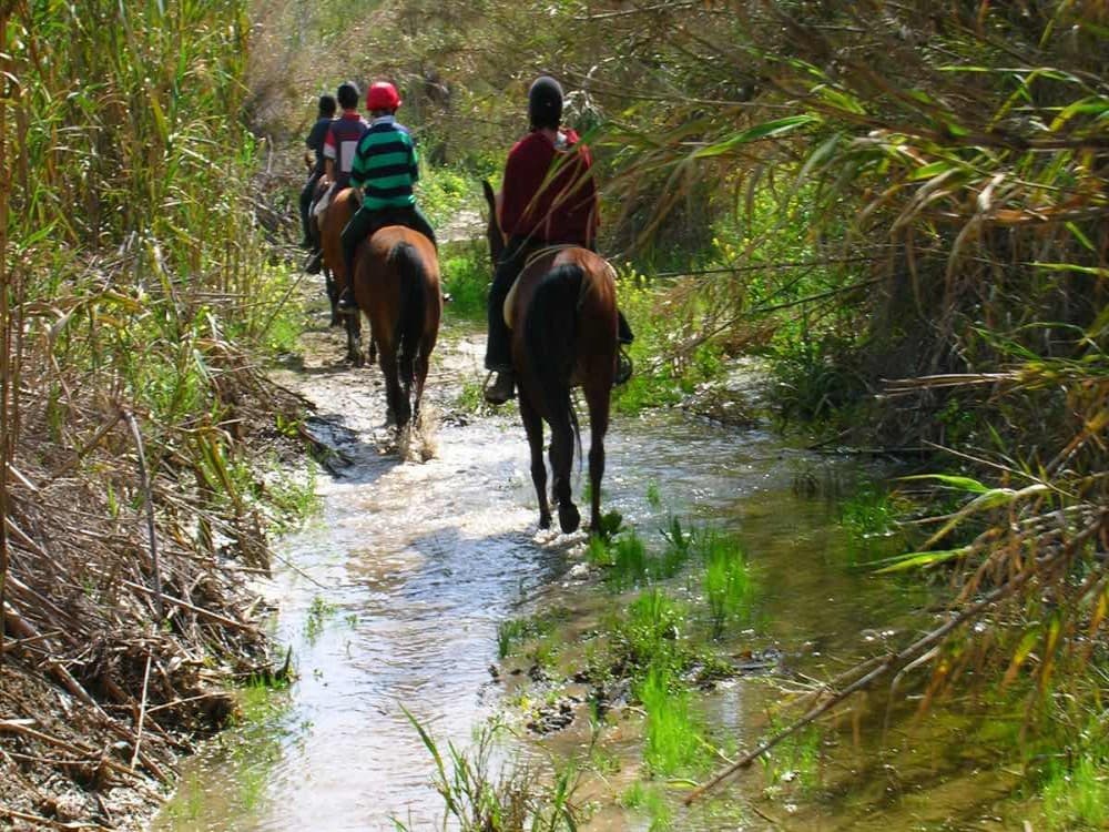 Marmaris: Horse Riding Adventure for All Skill Levels | ®ExcursionMania - Image 1