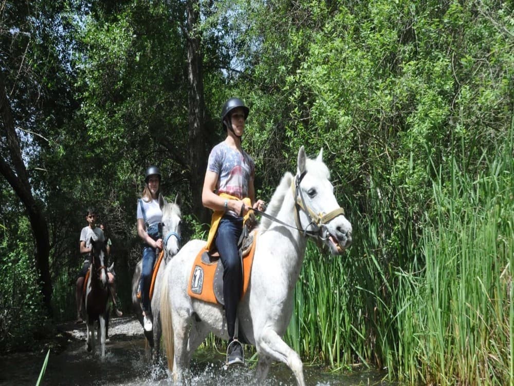 Marmaris: Horse Riding Adventure for All Skill Levels | ®ExcursionMania - Image 3