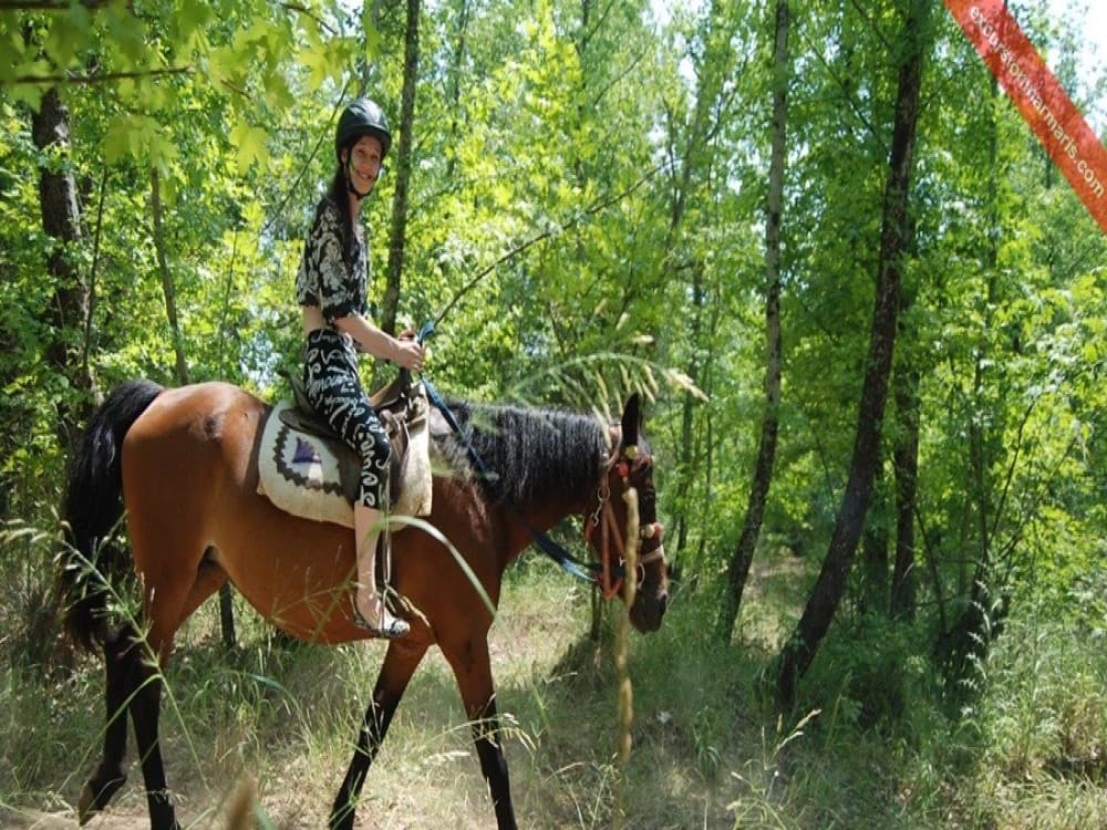 Marmaris: Horse Riding Adventure for All Skill Levels | ®ExcursionMania - Image 6