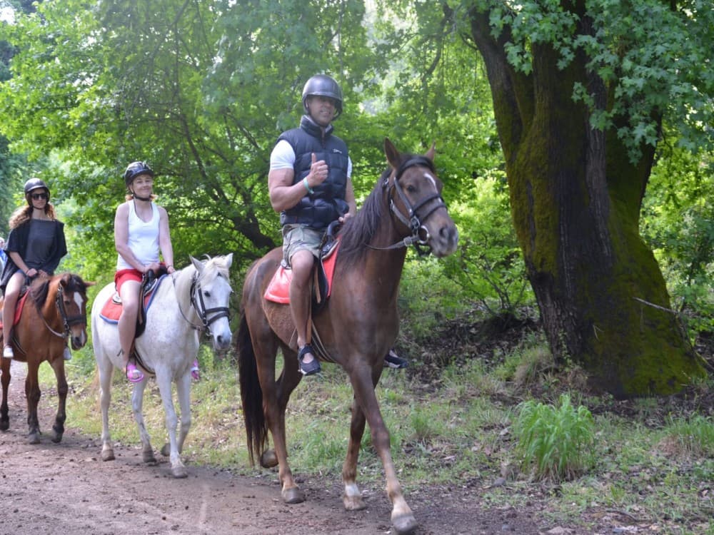 Marmaris: Horse Riding Adventure for All Skill Levels | ®ExcursionMania - Image 8