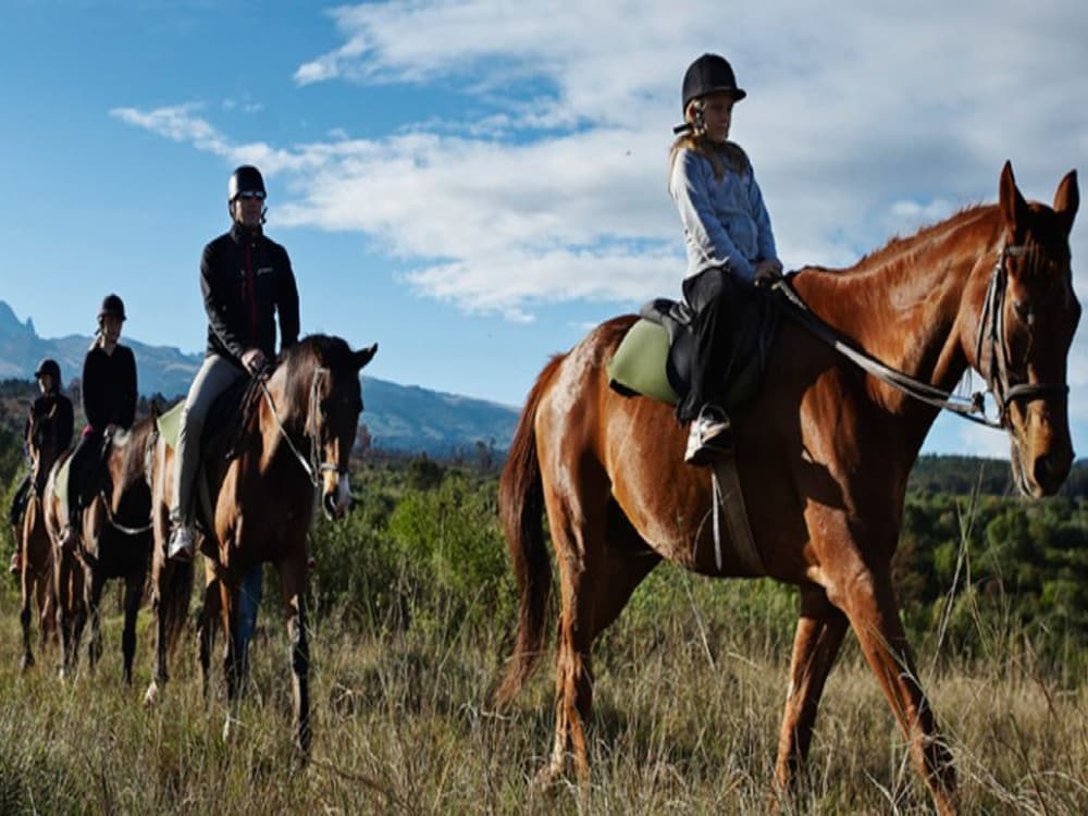 Icmeler Forest Horseback Adventure - Ride Through Natures Beauty | ®ExcursionMania - Image 2