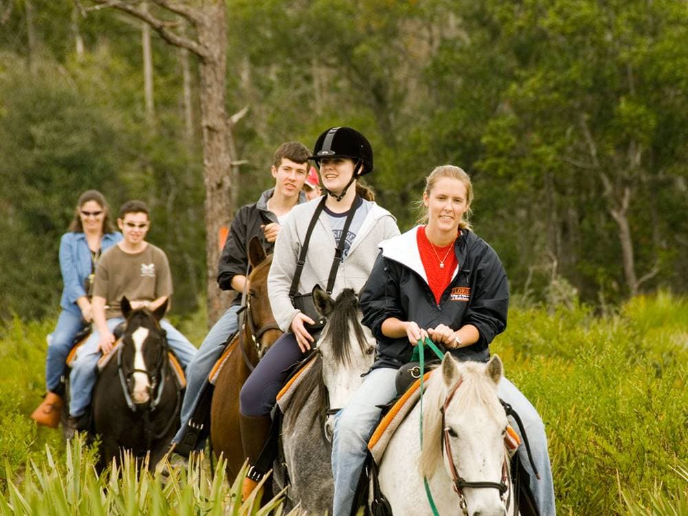 Icmeler Forest Horseback Adventure - Ride Through Natures Beauty | ®ExcursionMania - Image 6