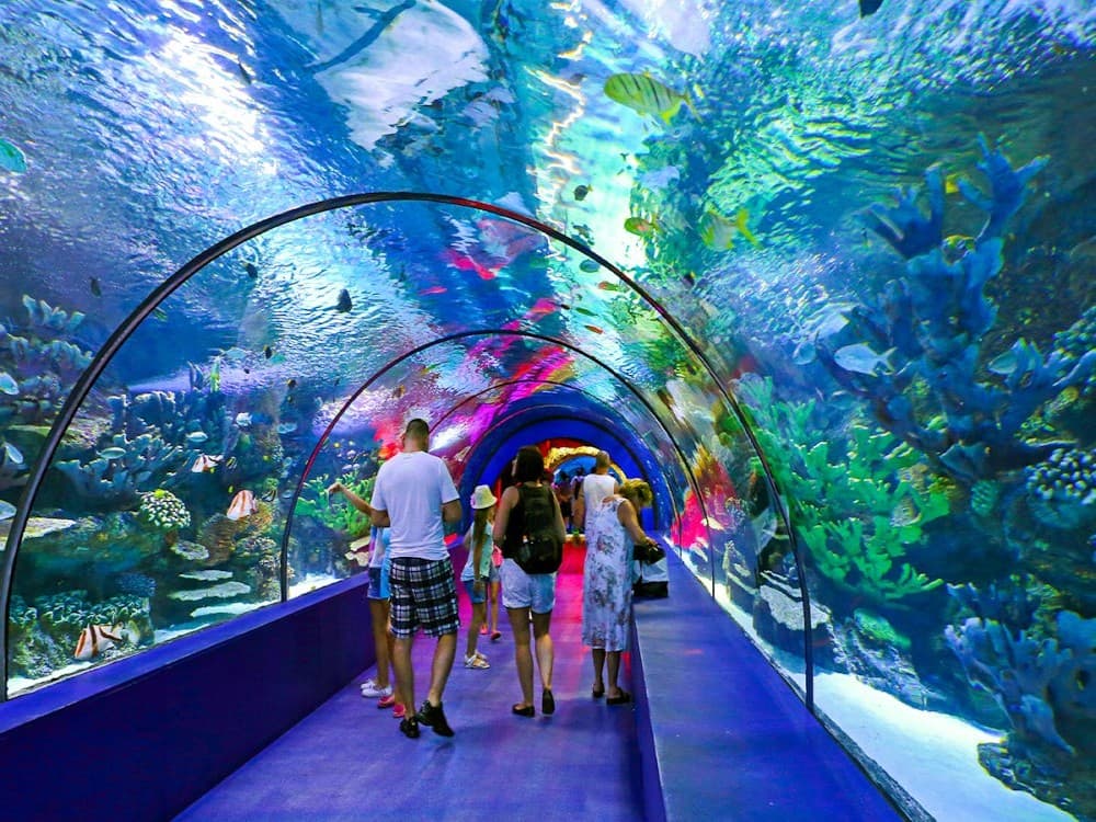 From Kemer: Antalya Aquarium Tour with Hotel Transfer | ®ExcursionMania - Image 1