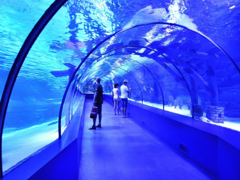 From Kemer: Antalya Aquarium Tour with Hotel Transfer | ®ExcursionMania - Image 4