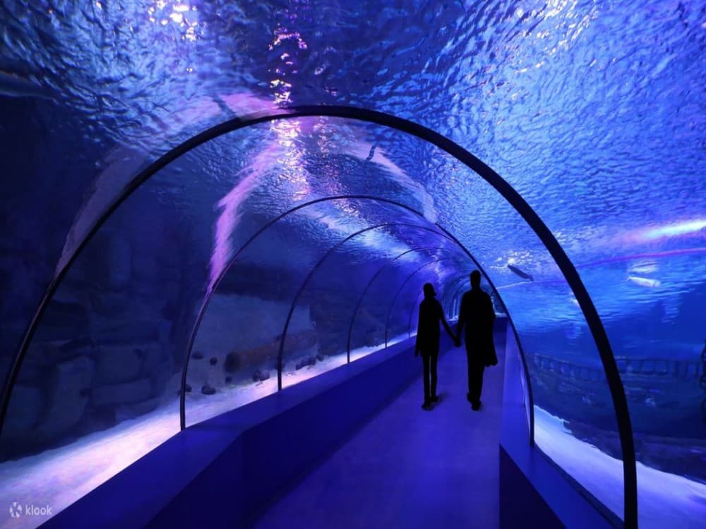 From Kemer: Antalya Aquarium Tour with Hotel Transfer | ®ExcursionMania - Image 6