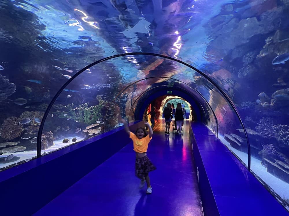 From Kemer: Antalya Aquarium Tour with Hotel Transfer | ®ExcursionMania - Image 8