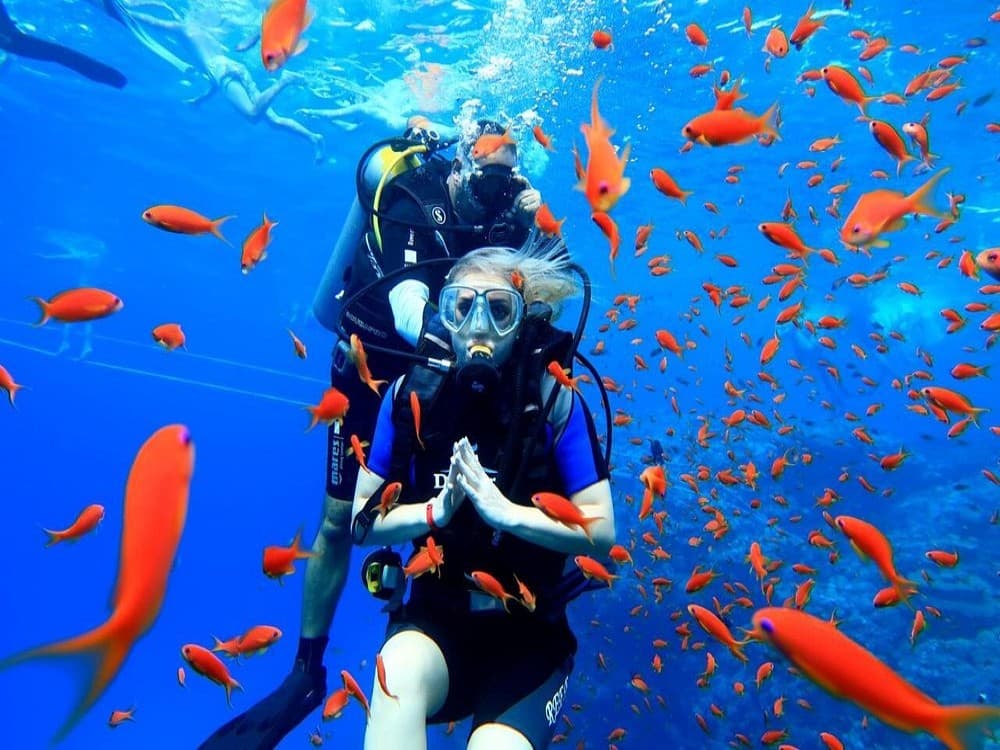 Sharm El Sheikh Scuba Diving Tour: Discover Red Sea | ®ExcursionMania - Image 6