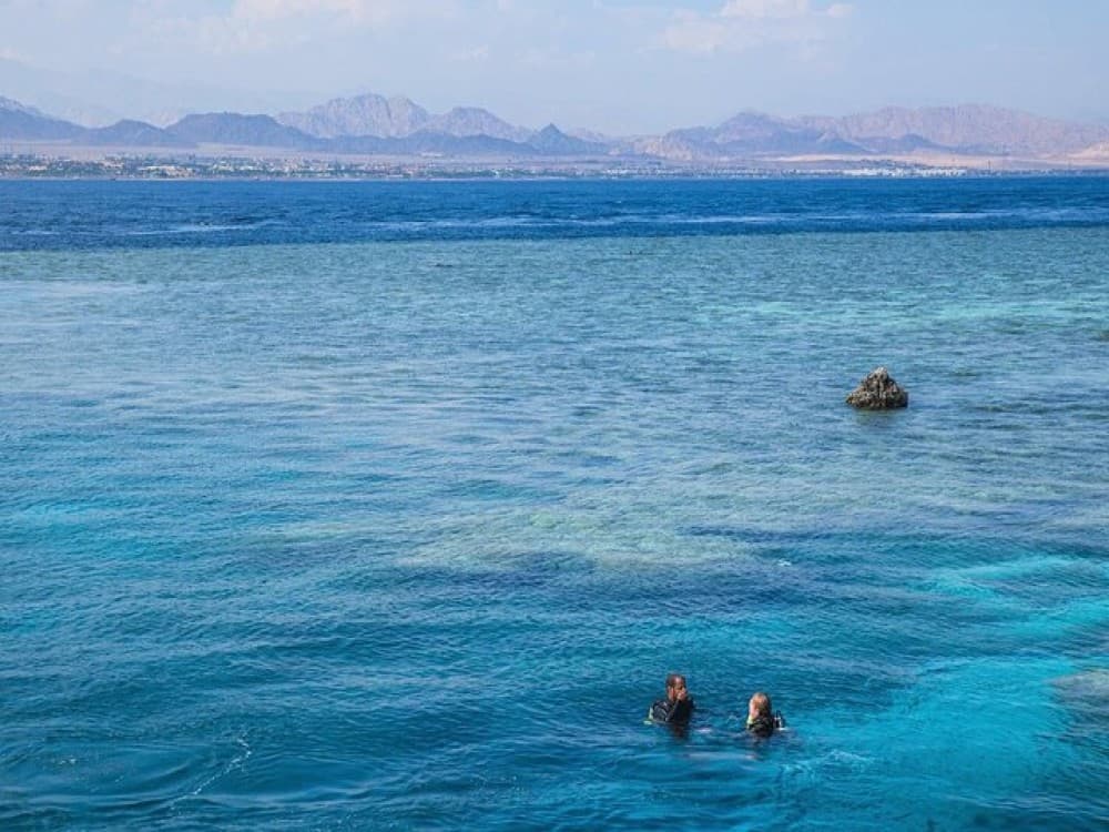 Sharm El Sheikh: Tiran Island Snorkeling Experience by Yacht | ®ExcursionMania - Image 3