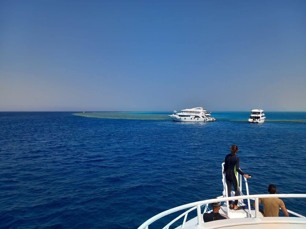 Sharm El Sheikh: Tiran Island Snorkeling Experience by Yacht | ®ExcursionMania - Image 4